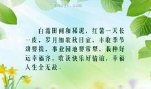 幸福人生的句子