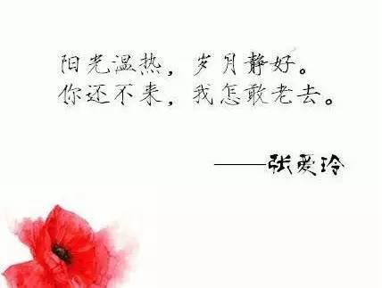 张爱玲的爱情句子