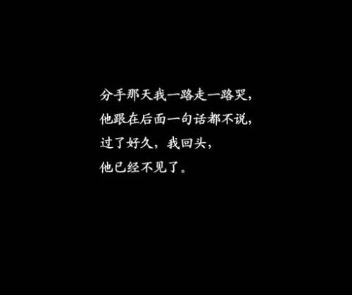 网络审美句子