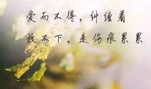 心累伤感的句子