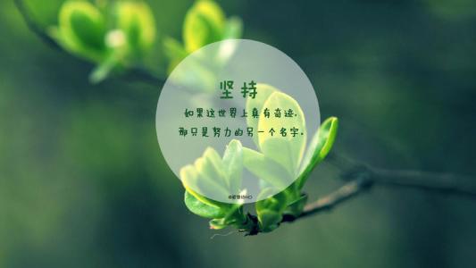 QQ签名龙猫