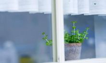 形容中老年开心快乐的句子 形容老人开心笑的句子