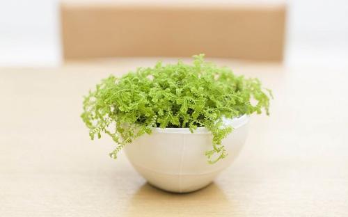 既悲伤又幸福的句子既悲伤又幸福的句子1