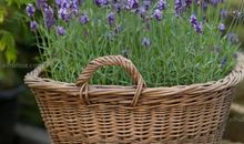 既伤心又开心的句子 又开心又难过的句子