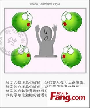 青蛙经典行情
