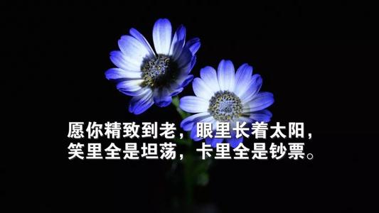 感受生活中经典句子的心情