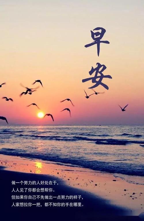 动机句