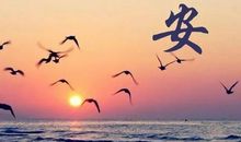 励志上进的句子