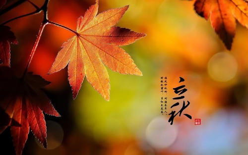 立秋祝福短信