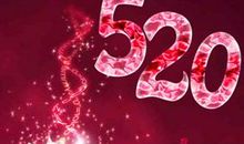 520送女朋友祝福语