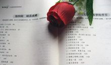 等待绽放好词好句