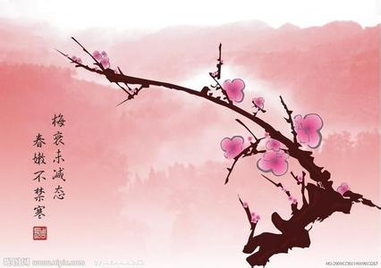 成语描述梅花