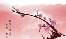 描写梅花的成语