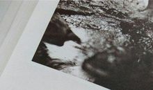 刘同40句经典语录