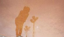 友爱的英文名言