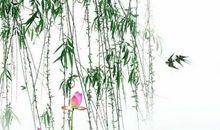 描写春风的诗句大全