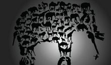 保护动物的英语标语