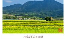 描写美丽村庄的句子