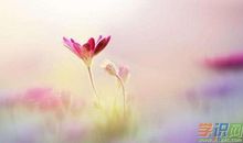 婚后感慨经典句子