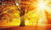 描写太阳的好段