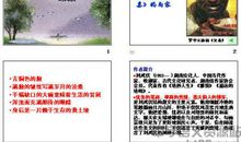 父母细节描写的片段