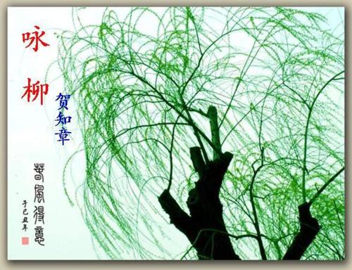 抒情诗歌