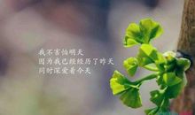 幸福的说说心情短语