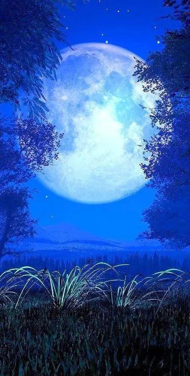 夜空的句子