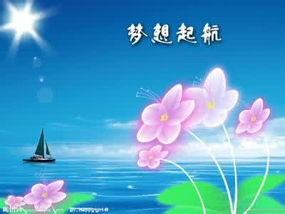 梦想与现实格言