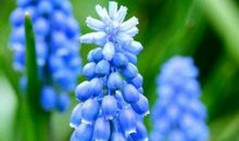 qq空间留言早安