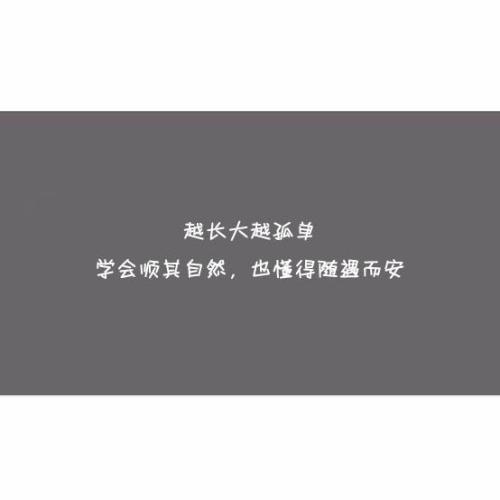 最好的经典句子