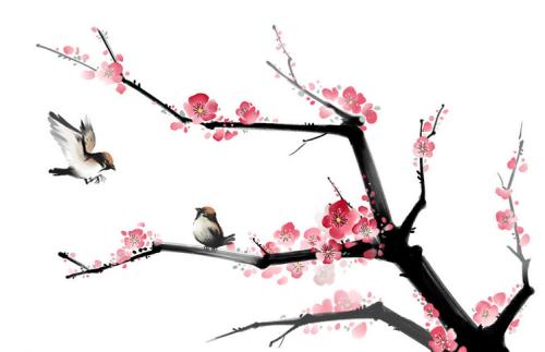 美丽的句子花