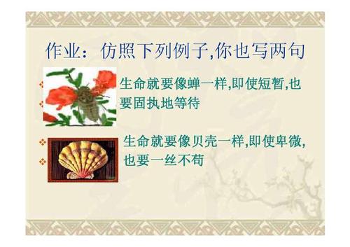 贝壳句