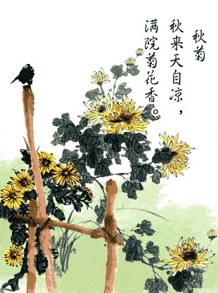 菊花古诗