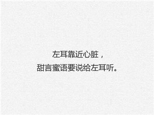左耳电影经典语录