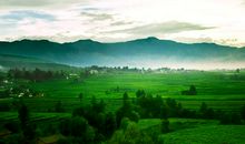 描写窗外景色的句子