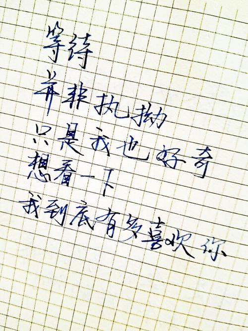 美丽的诗句