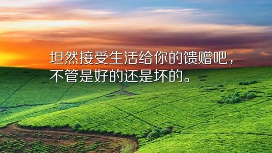 美丽的诗句