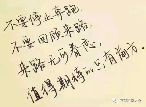 摩天轮歌词