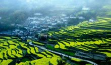 学校环境优美的句子