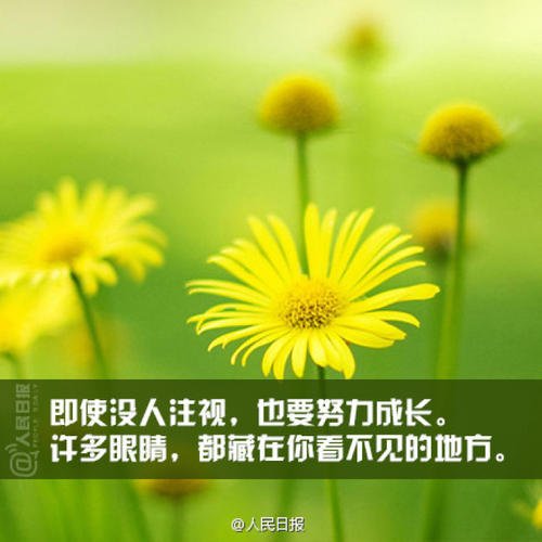 微笑励志名言