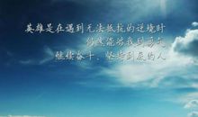 关于面对挫折的名言