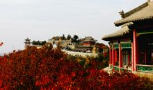 四季之景的排比句