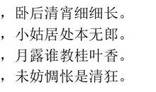 表示暗恋的诗句