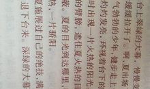 描写城市环境的句子