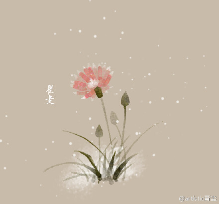 专门谈论爱
