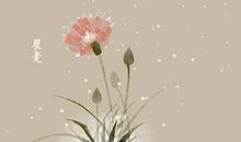 爱情专一的说说