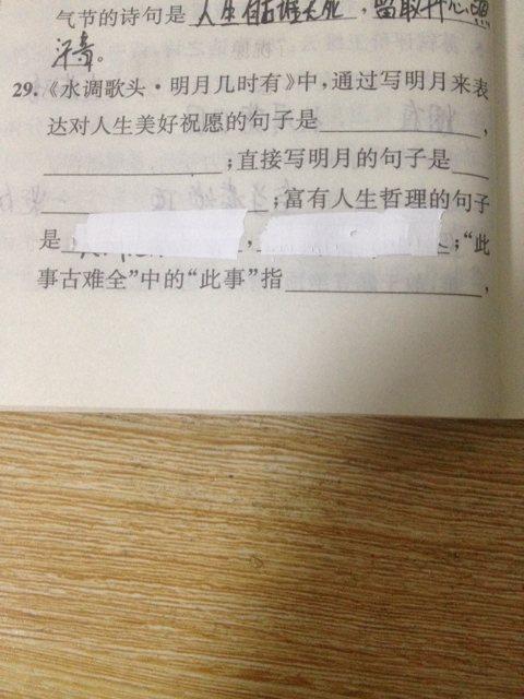 矛盾的句子