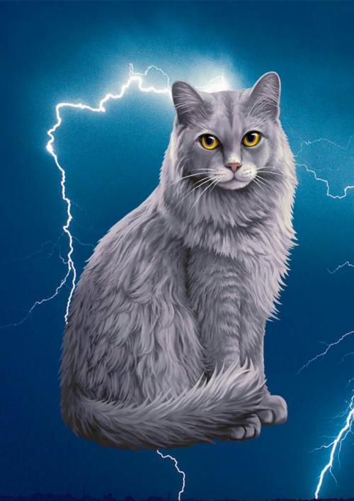 猫武士好句子