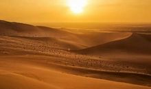 描写沙漠的诗句